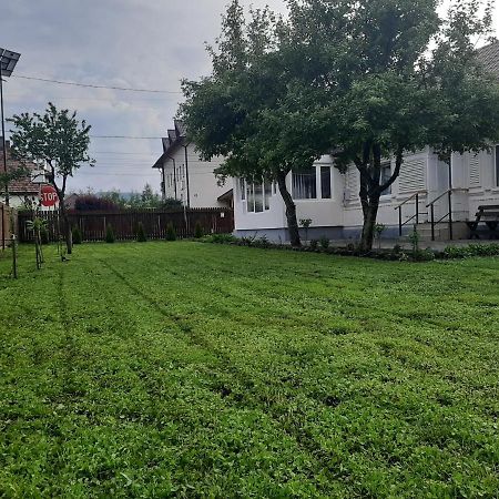 Pensiunea Cristina Topliţa Exterior foto