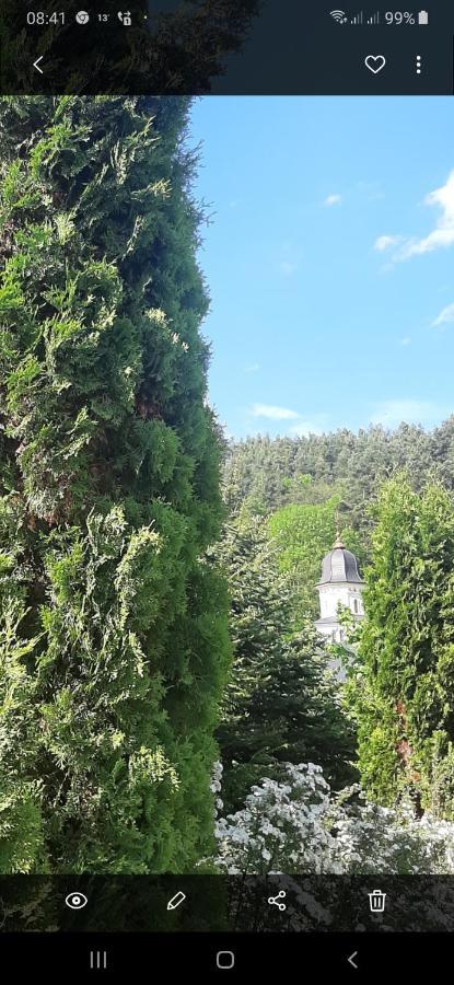 Pensiunea Cristina Topliţa Exterior foto