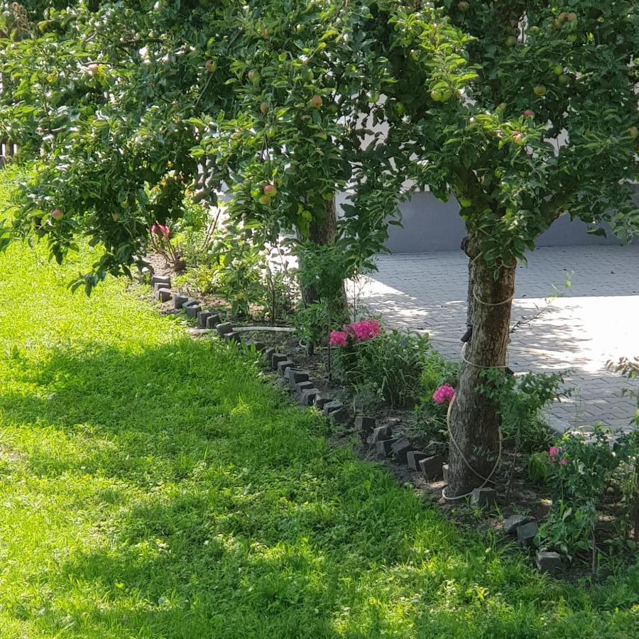 Pensiunea Cristina Topliţa Exterior foto