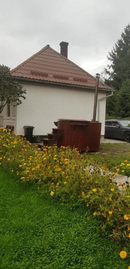 Pensiunea Cristina Topliţa Exterior foto